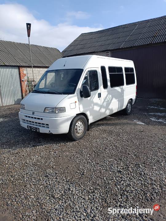 Fiat Ducato autobus Małków-Kolonia