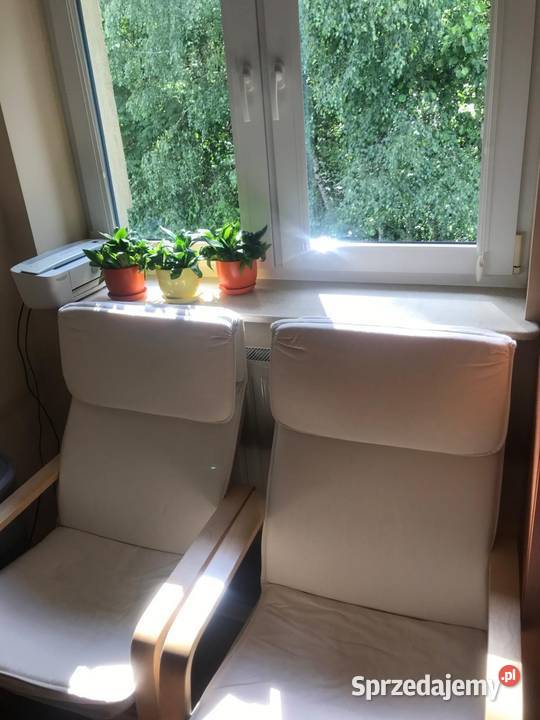 2x fotele POANG mazowieckie Przysucha