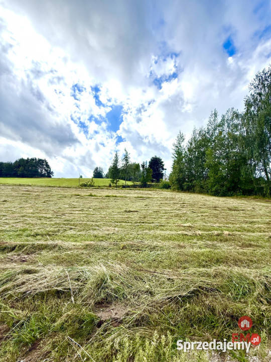 Do sprzedaży działka Przejma Wysoka 2300m2 Sprzedaż sprzedam
