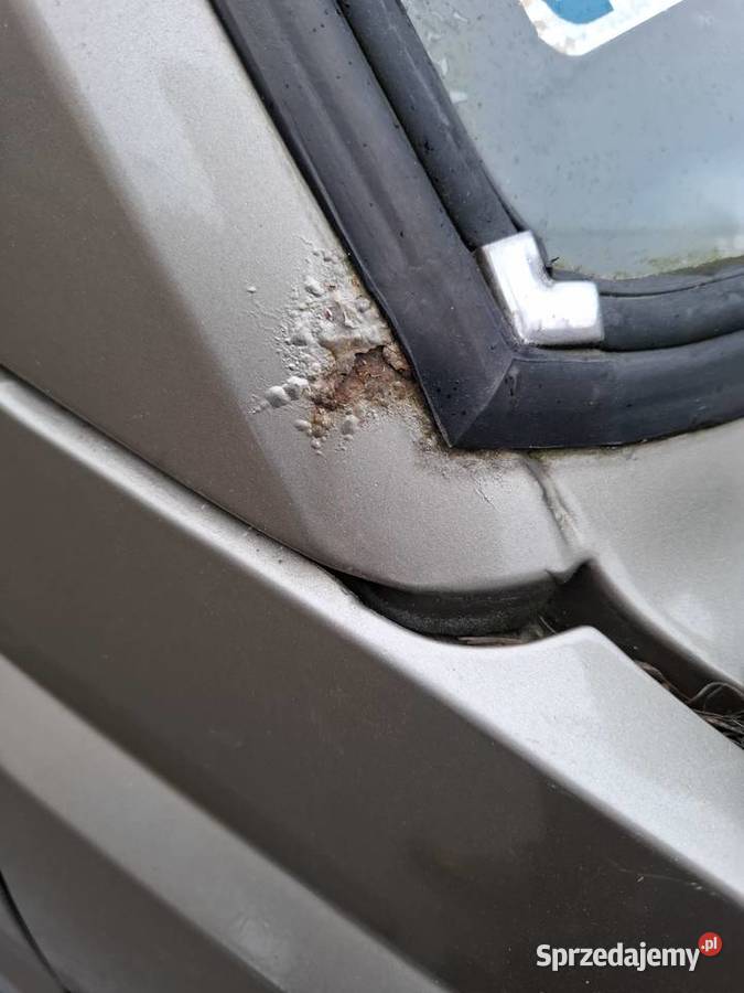 Polonez caro pierwszy miesiąc produkcji rarytas Rok produkcji 1991 Zamość