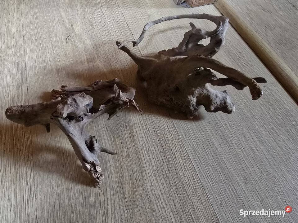 Akwarium ozdoby Ustroń