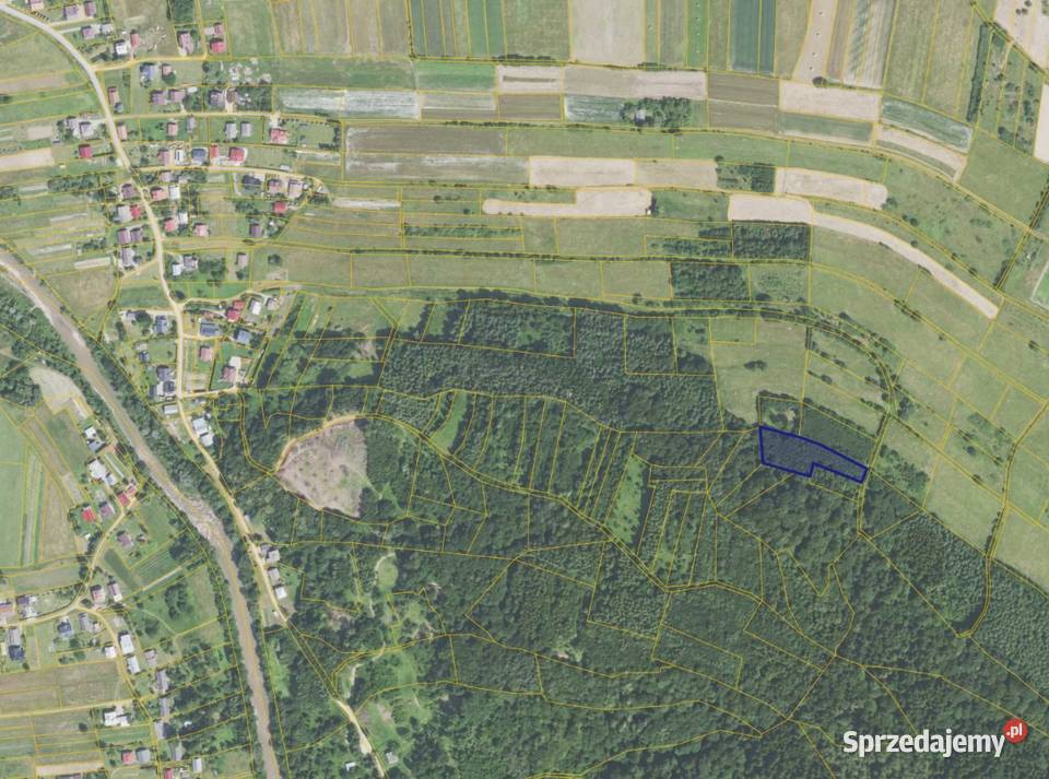 Działka leśnorekreacyjna 3 194 m Cergowa gm