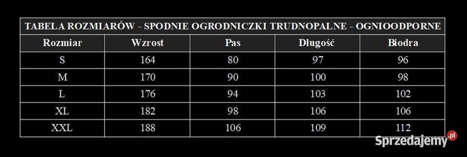 Spodnie spawalnicze ogrodniczki jedyne 50 Kraków