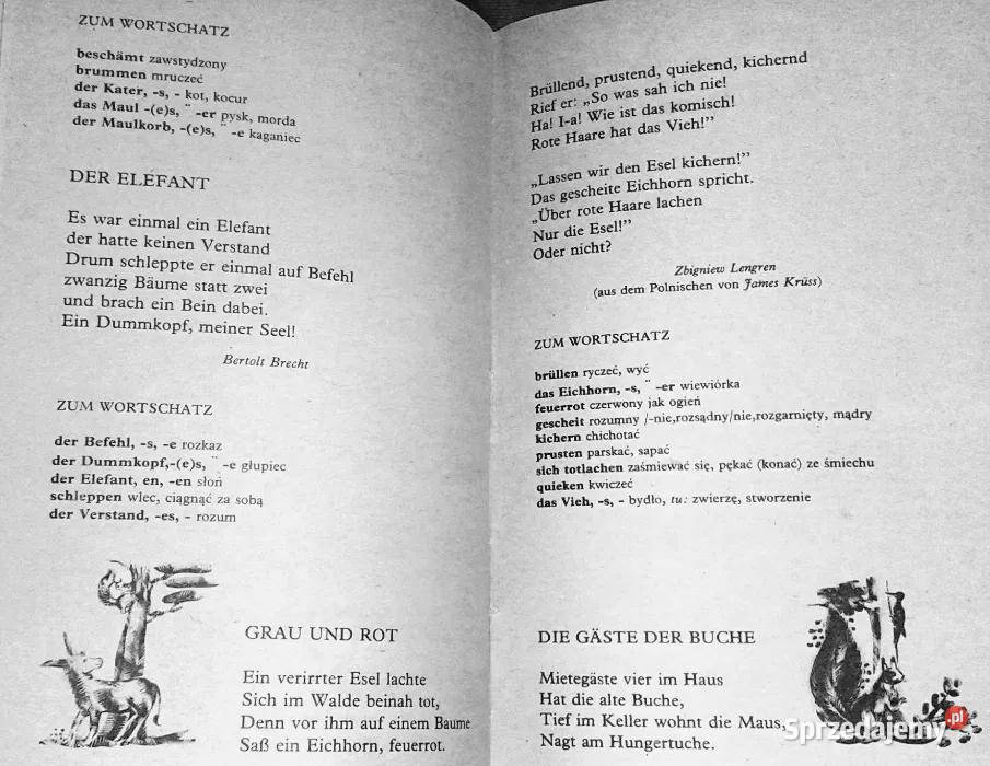 Buntes Allerlei Joanna Honsza miękka Chełm sprzedam