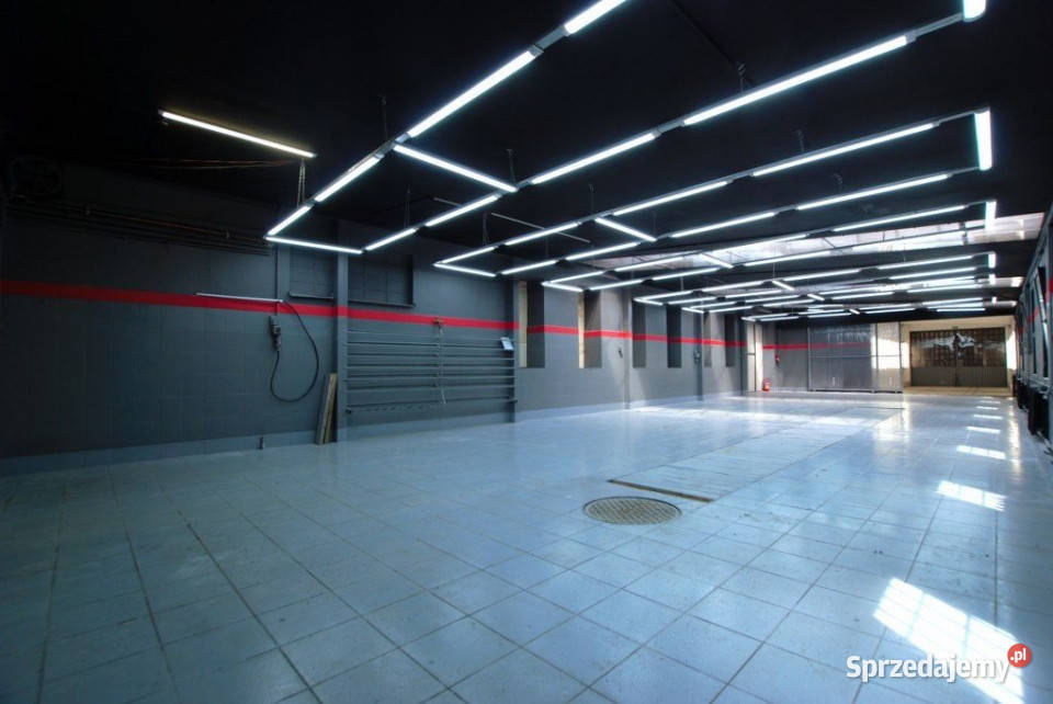Lokal Kielce 230m2