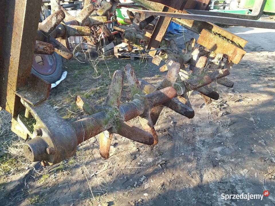 Wał wałki kolczatka