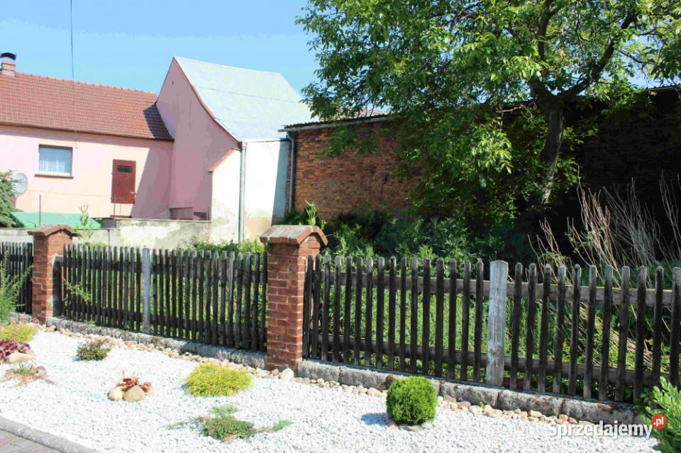 Wynajmę mieszkanie z ogródkiem i budynkiem z Nieruchomości