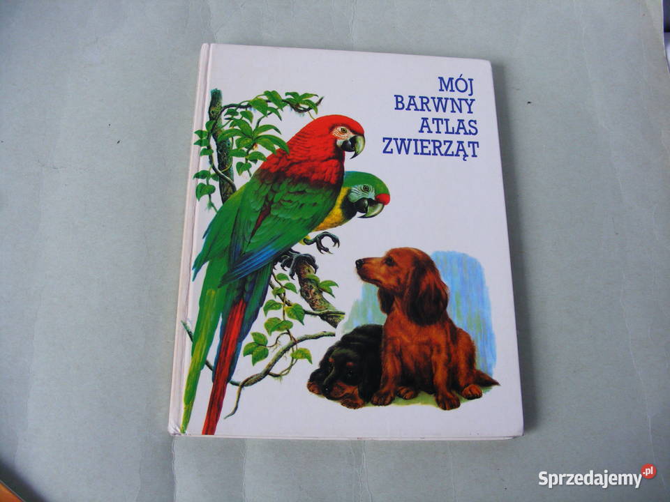 Atlas zwierząt z lwem Mój barwny atlas zwierząt Książki dla dzieci