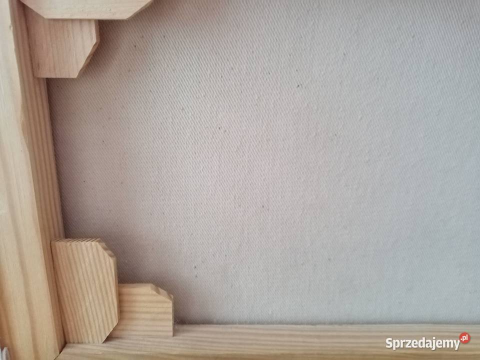 Magia kolorów NOWY certyfikat Kołobrzeg