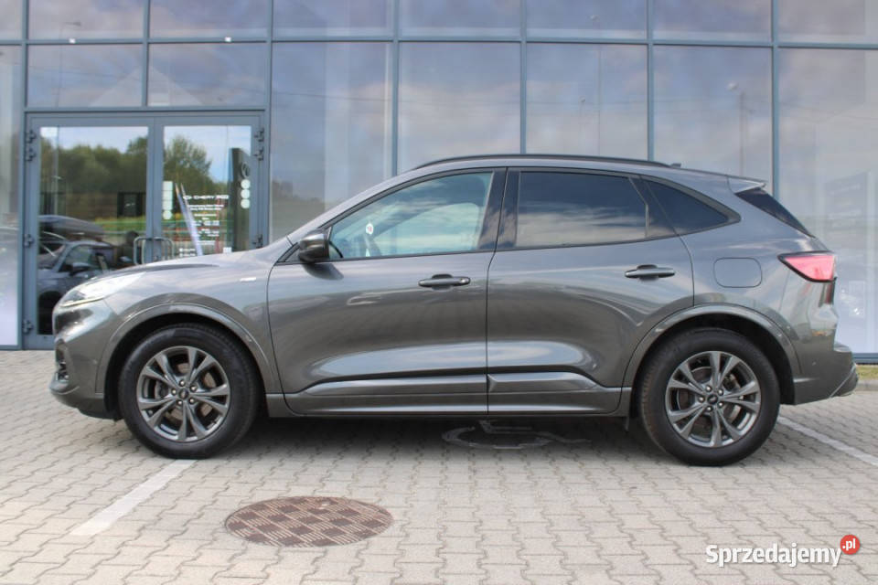 FORD Kuga 2021r FV23 Alcantara BO HAK BLIS El Rok produkcji 2021 Bielsko-Biała