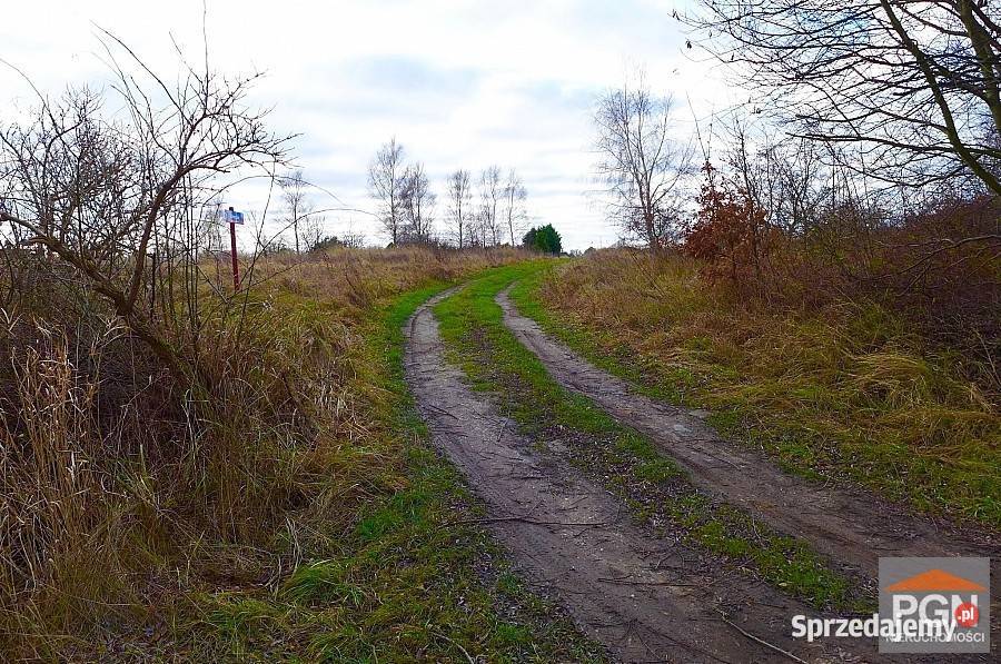 Grunt na sprzedaż 740m2 Niechorze