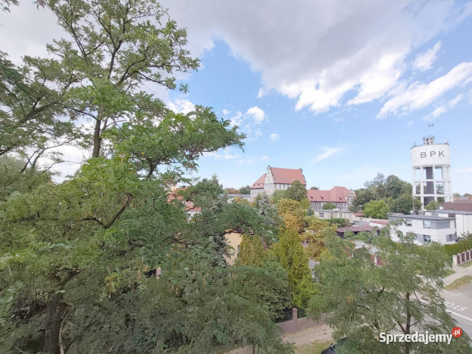 Przestronne 75 m w Śródmieściu 2 pokoje Niski