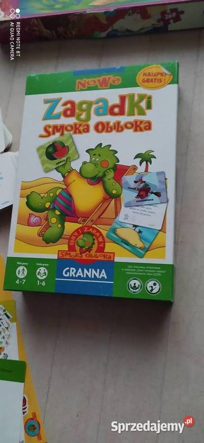 zagadki smoka obiboka gra logiczna