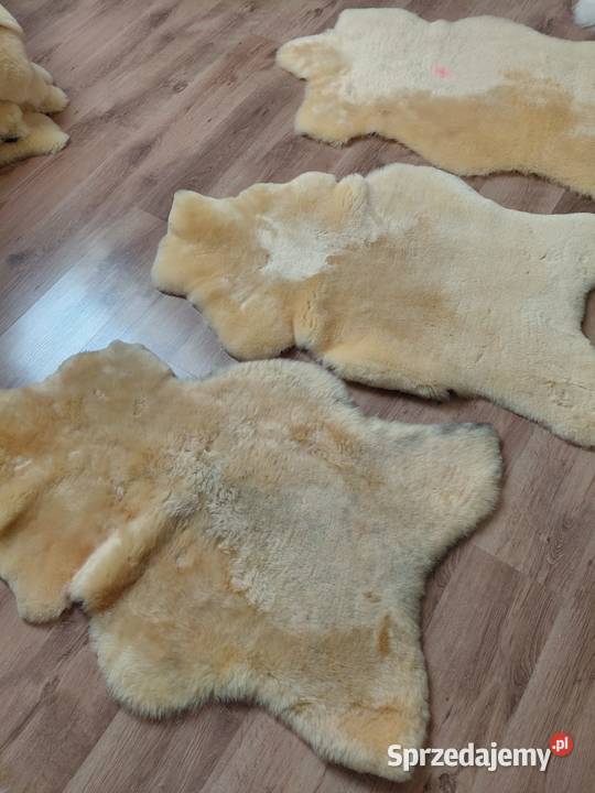 PAKIET SKÓR OWCZYCH 3 Sztuki Skór Owczych Szaflary