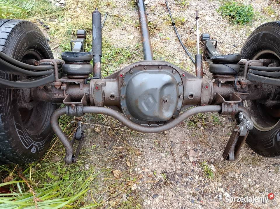 Most dyfer os mascott świętokrzyskie Kielce