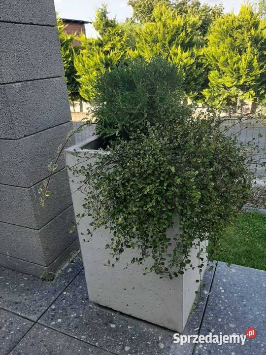 Donice betonowe Pogórska Wola