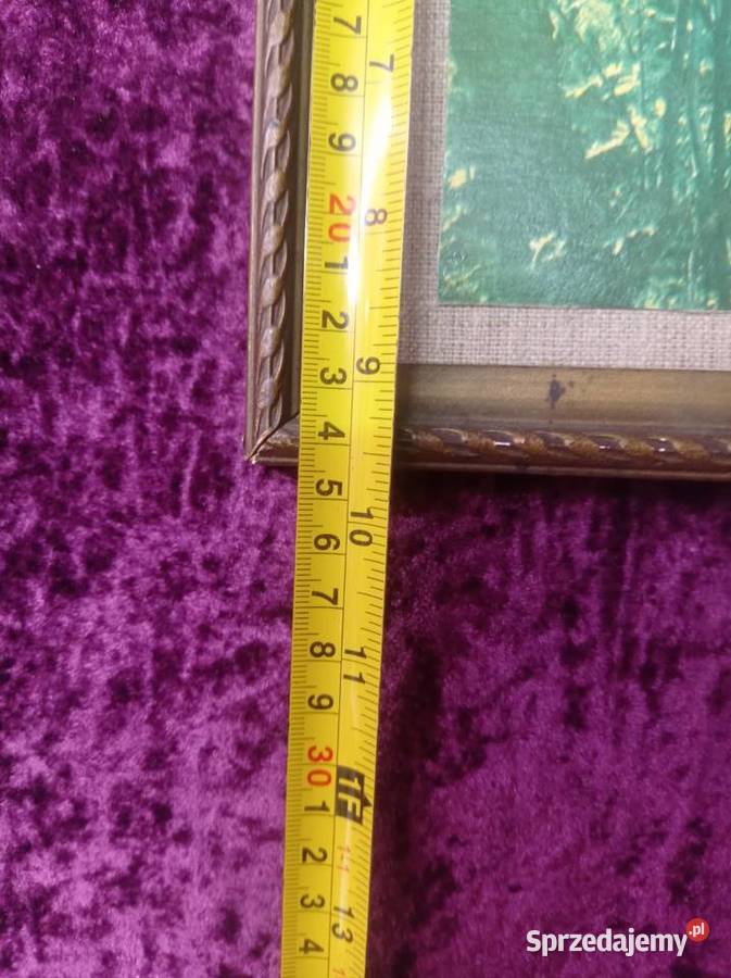 Reprodukcja obrazu mazowieckie Siedlce