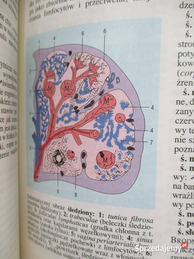 Mała encyklopedia zdrowia 1963 medycyna zdrowie Łódź