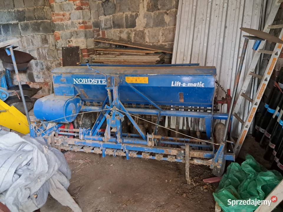 Siewnik nordesten 2m Ostrożnica