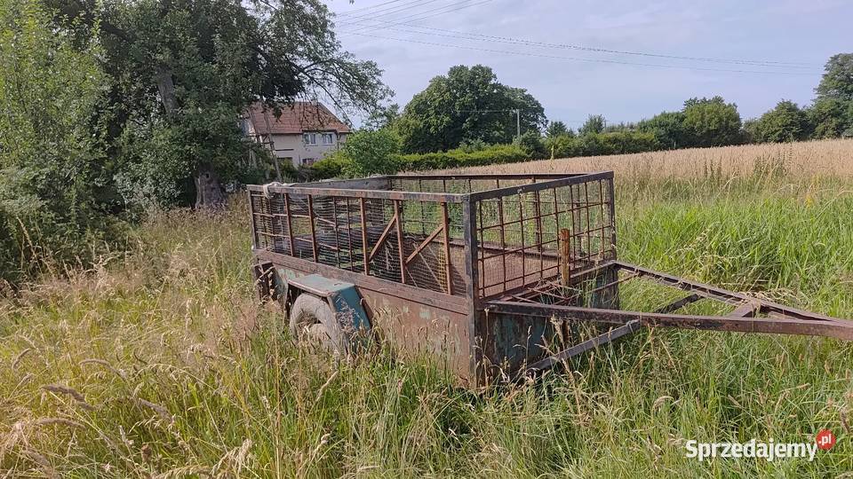 Przyczepa przyczepka dwukółka wózek bitka nieuszkodzony Koszalin sprzedam