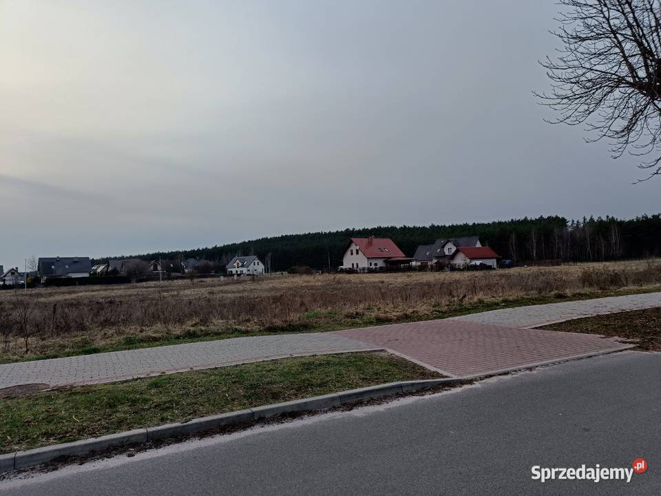 Działka usługowo mieszkaniowa Siedlisko z