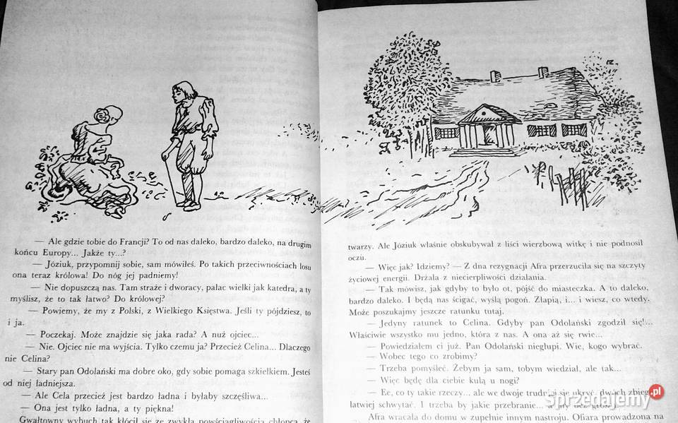 Szpada na wachlarzu Halina Popławska Pozostałe Chełm