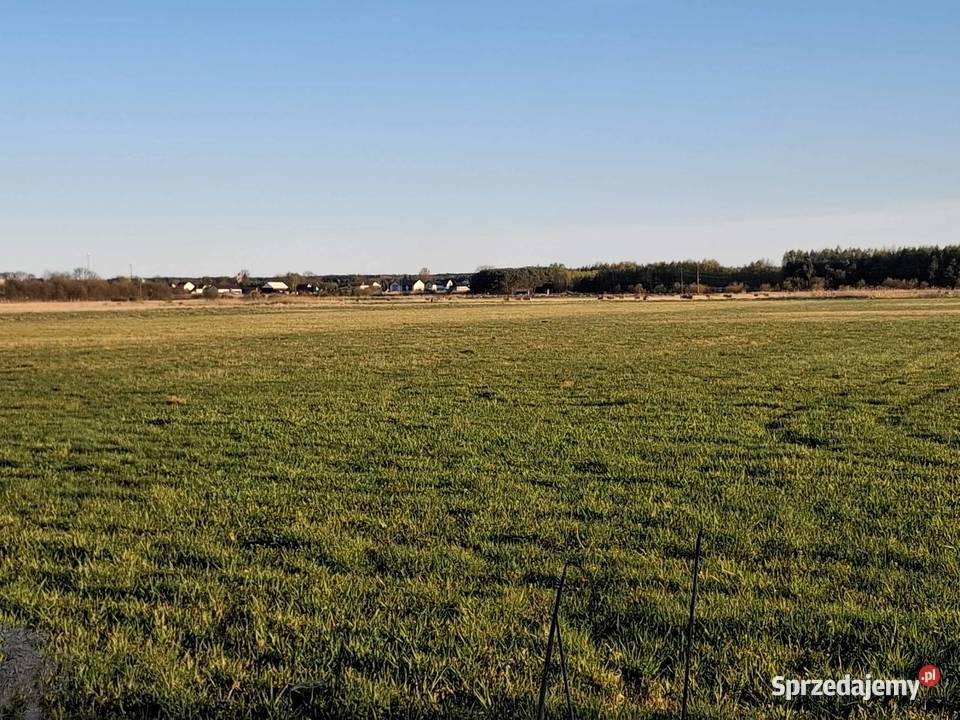 Wydzierżawię dobrze utrzymaną łąkę Nieruchomości świętokrzyskie Secemin