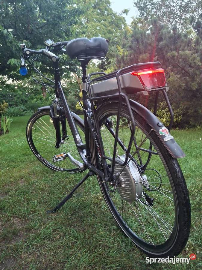 Rower elektryczny trek Alpha Platinum