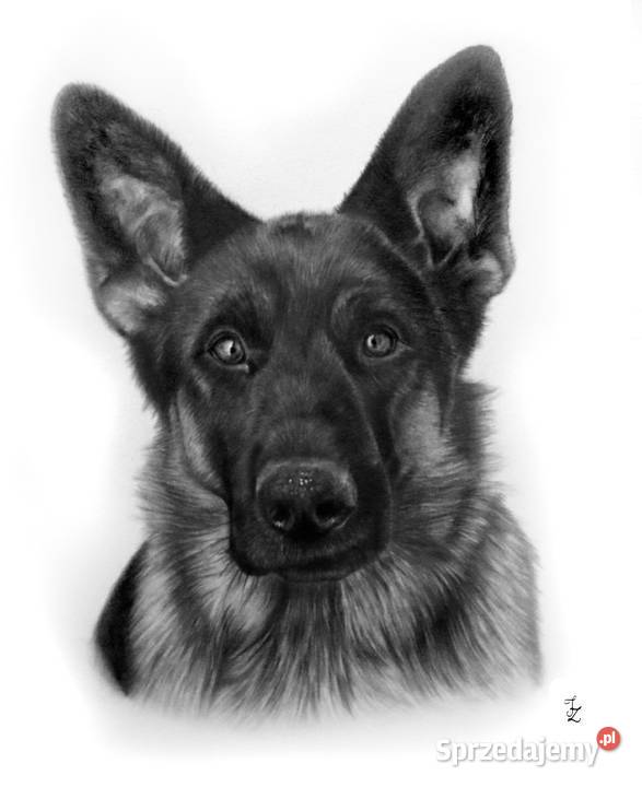 Portret ze zdjęcia na zamówienie wyjątkowy