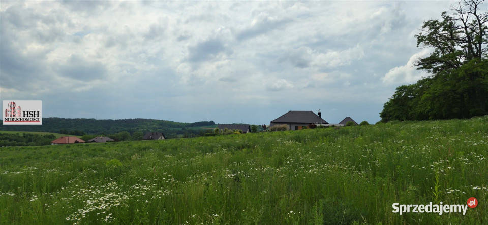Działka na sprzedaż Michałowice 2450m2 Sprzedaż