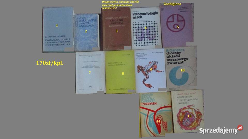 Szczegółowa patologia i terapia chorób zwierząt sprzedam
