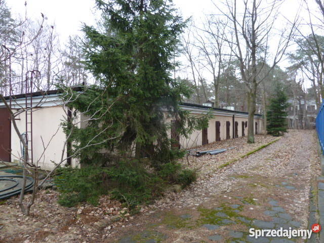 ORANGE POLSKA NIERUCHOMOSCI ŁOMIANKI Pionierów 3 Łomianki