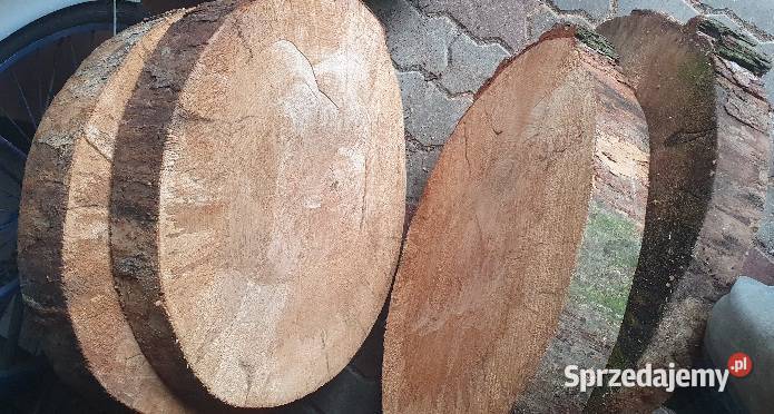 Plastry drzewa olcha Pakość sprzedam