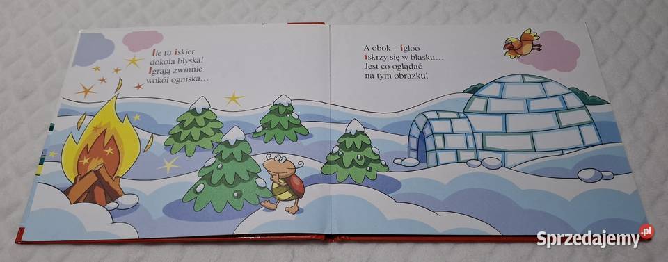 ABC Uczę się I insekt Strzałkowska Hachette 2007 Czeladź sprzedam