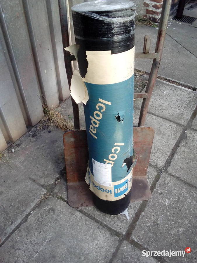 Papa na deskowanie SBS Kraków