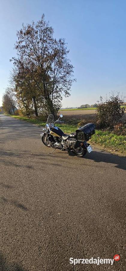 Kawasaki Vulcan 800 1999r Kawasaki Baboszewo