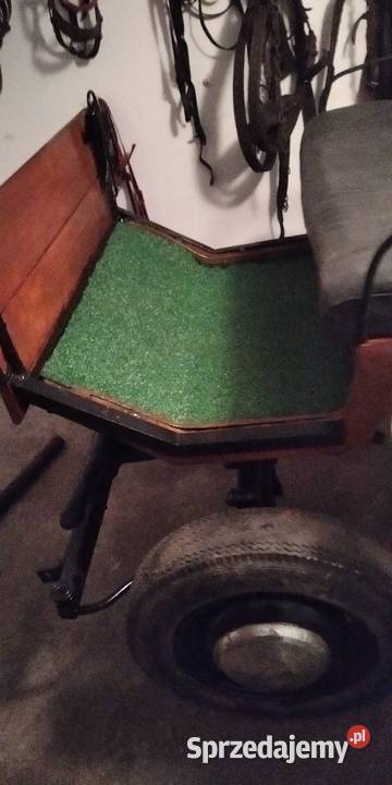 Bryczka konna Pozostałe Szreńsk