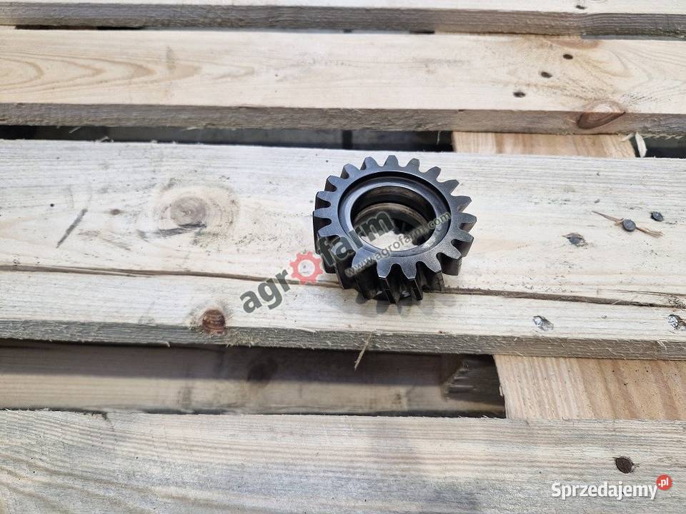 Koło zębate Massey Ferguson 6614 VT 7618 7620 Byków
