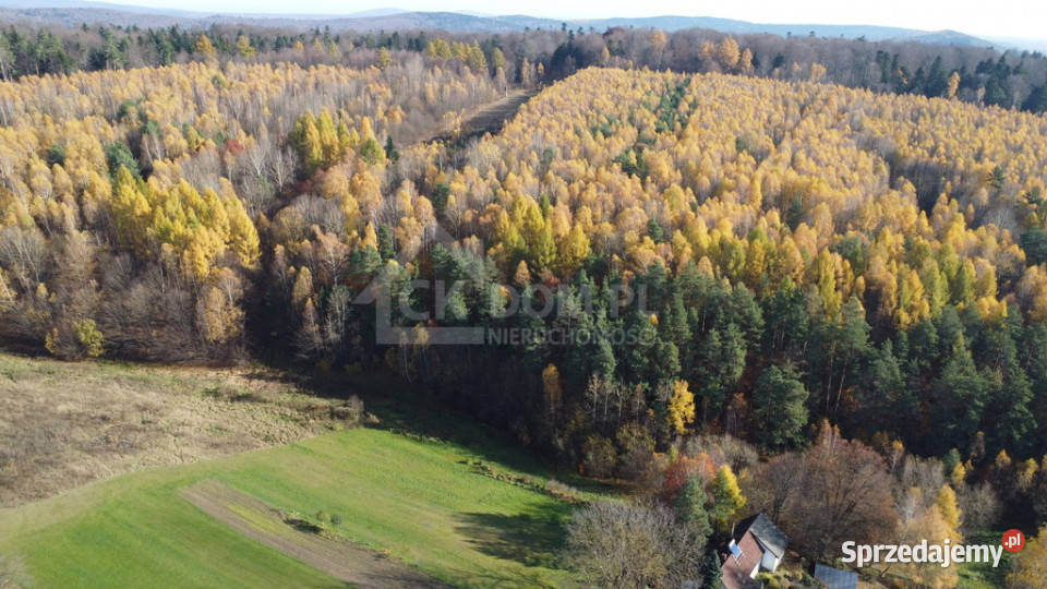 Działka inwestycyjna Cisów 22 500 m świętokrzyskie