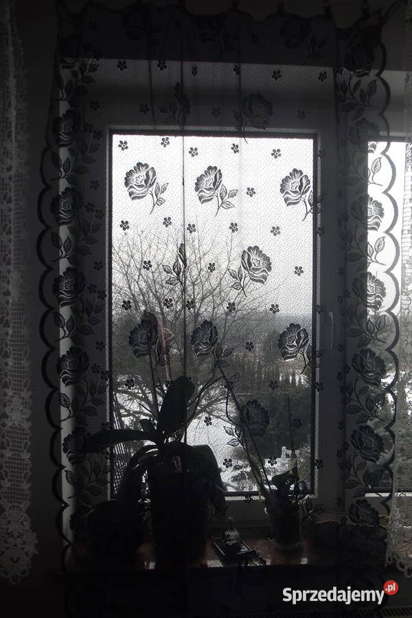 Mała firanka granat 110165 Piekary Śląskie sprzedam