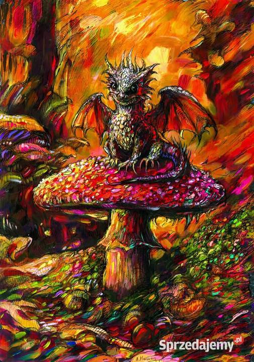 Muchomor i Smok akryl na papierze Toruń sprzedam