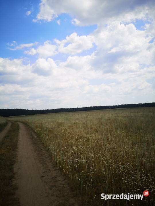 PRZEDSPRZEDAŻ DZIAŁKA 2200m2 W SPOKOJNEJ OKOLICY Chrostkowo Nowe