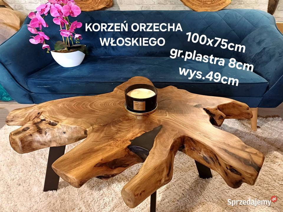 Stolik kawowy 100x75 KORZEŃ ORZECHA WŁOSKIEGO Śrem sprzedam