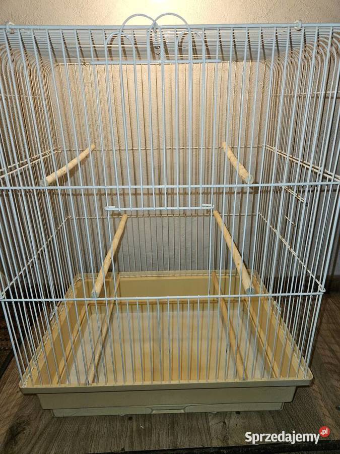 klatka ptaków duża kanarki zeberki wielkopolskie