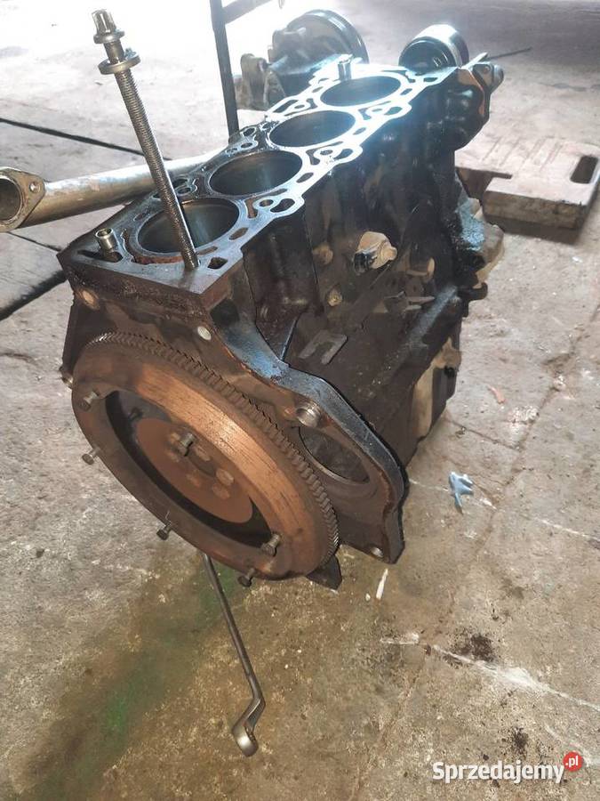Z16xe1 dół silnika zafira astra Wilga