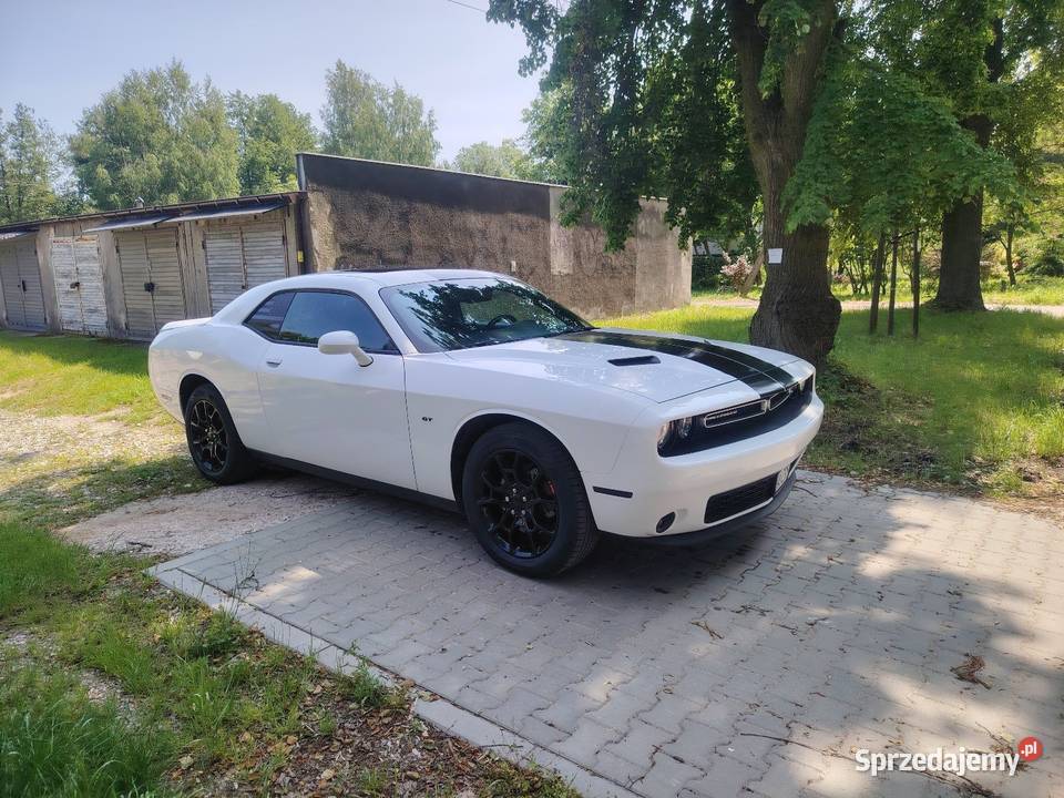 Dodge Challenger GT AWD automatyczna Książenice
