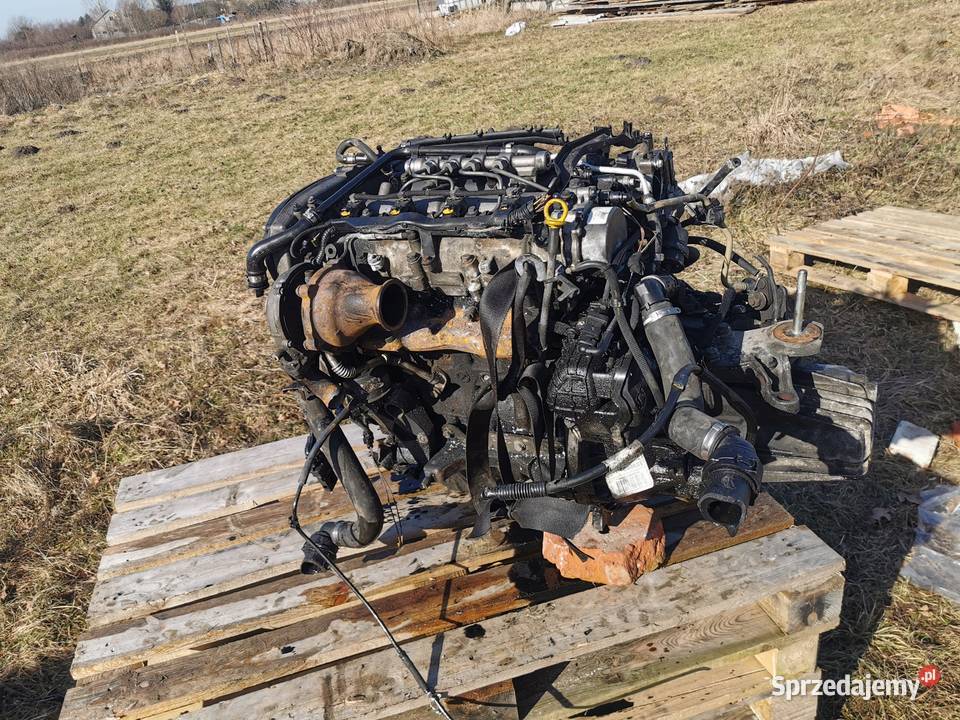 Silnik KOMPLETNY Mito Punto 500L 16 jtd EURO5 Szadkowice