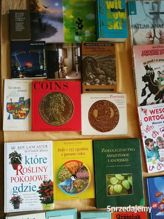 Zestaw książek Różne tytuły Szczecin