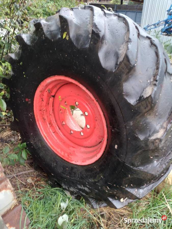 Sprzedam koło 23126 lubuskie Stara Jabłona