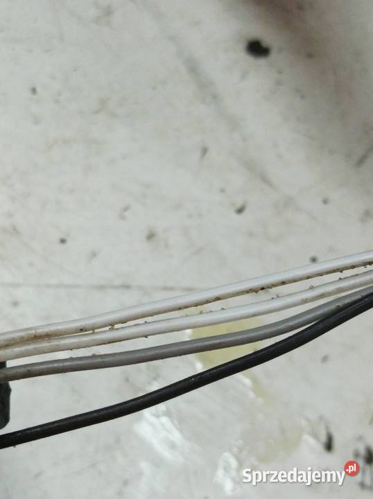 KOLEKTOR WYDECHOWY 32 V6 Z32SE Opel Vectra III osobowe